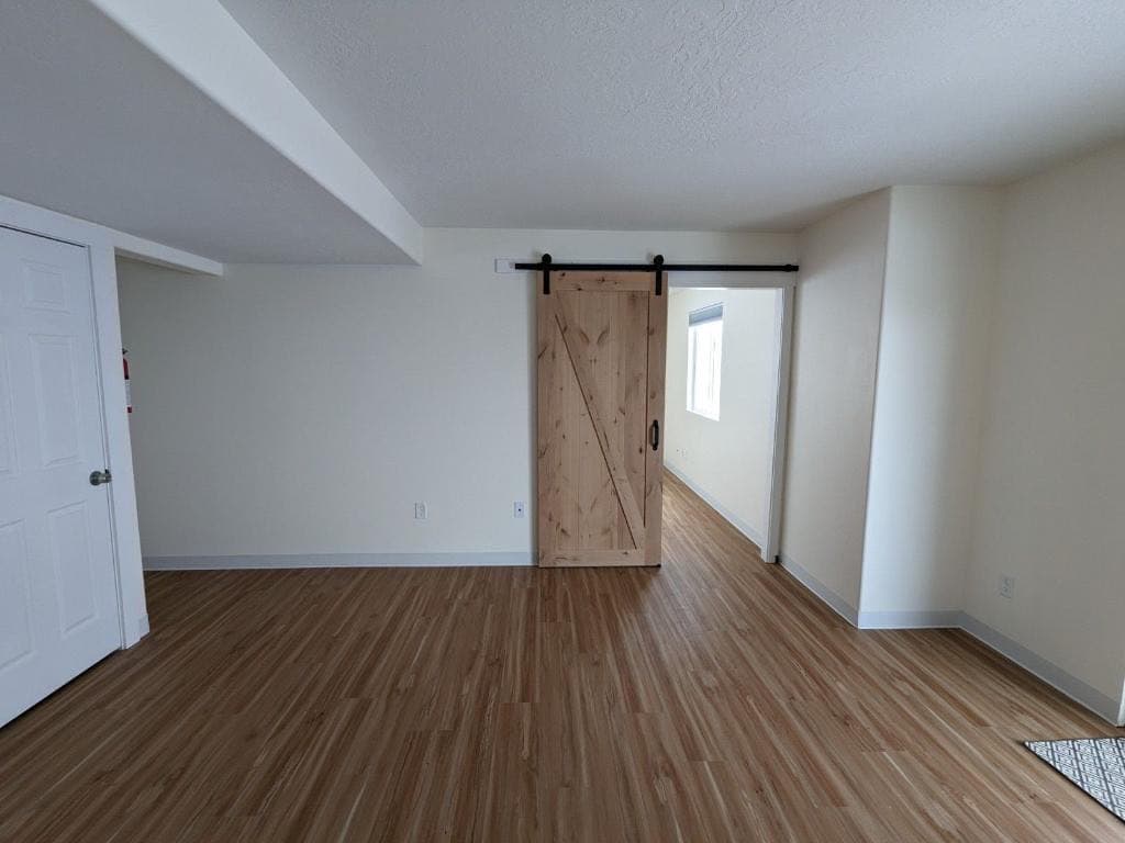 Finished basement hallway with sliding barn door and LVP flooring